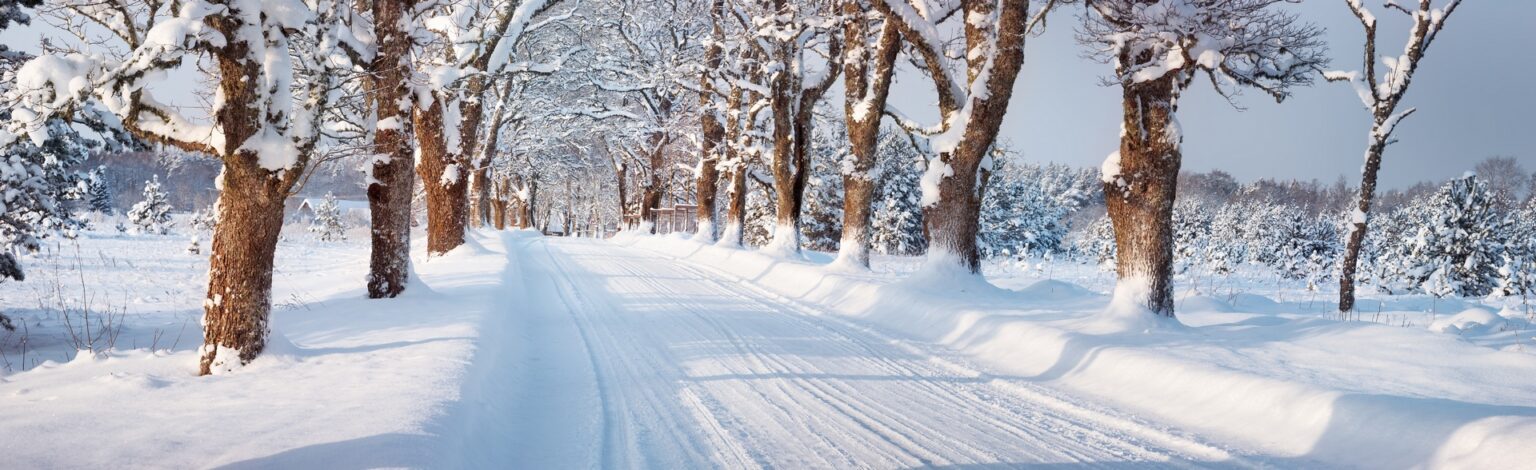 Ein frohes Weihnachtsfest und ein gesundes neues Jahr!